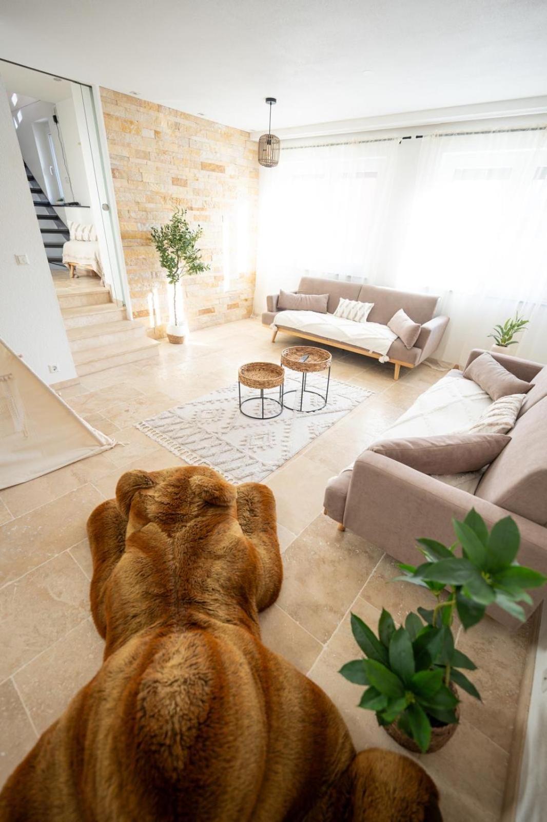 -Stadthaus Ida- Mit Grosser Dachterasse, Am Schlosspark, Luftkurort Kisslegg, Boxspringbetten, Kaffeevollautomat, Smarttv, Familienfreundlich, Grosszuegig, Zentral Kültér fotó